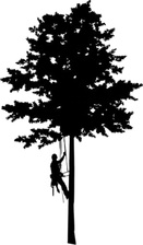 Adam's Tree Service, LLC logo