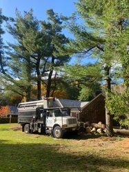 Dreyers Tree Service And Landscaping logo