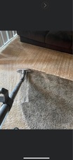 Avatar for Bubbles and Steam Professional Carpet Care