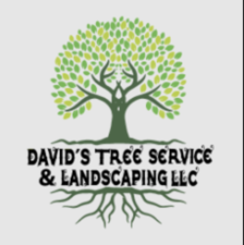 David's Landscaping Services, LLC logo