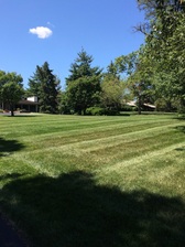 Avatar for Johns Lawn Care