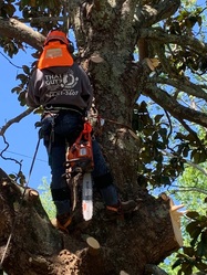 That Guy Landscaping logo