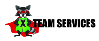 X Team Fence logo