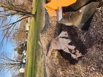 New View Stump Grinding, LLC logo