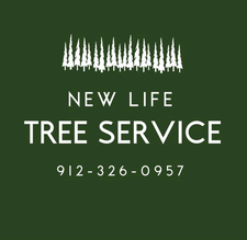 Avatar for New Life Tree Service LLC