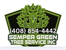 Logo for Semper Green Tree Service, Inc.