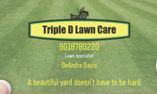 Avatar for Triple D's Lawn Care Services