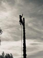 Logo for Faith and Loyal Tree Services