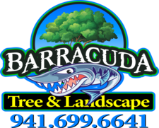 Avatar for Barracuda Landscape & Curbing