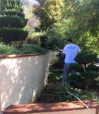 Logo for Martinez Pressure Washing - Unlicensed Contractor