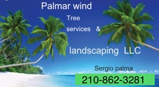 Avatar for Palmar Wind Tree Services  & Landscaping