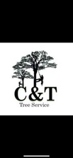 Logo for C&T Tree Service Pros