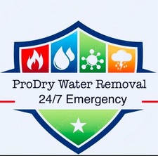 Avatar for ProDry Water Removal
