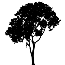 Avatar for Overgrown Tree Care, LLC