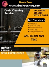 Logo for Drain Pros
