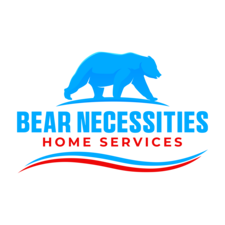 Avatar for Blue Bear Heating & Air, LLC