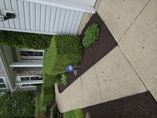 Logo for DLC Landscaping and Projects