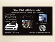 ESC Pro Services, LLC logo