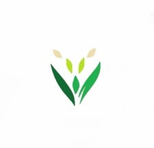 Pacific Time Trees LLC logo