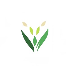 Logo for Pacific Time Trees LLC
