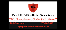 Avatar for IPM Pest & Wildlife Services