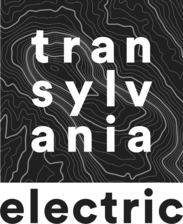 Logo for Transylvania Electric, LLC
