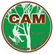 CAM Tree Services logo