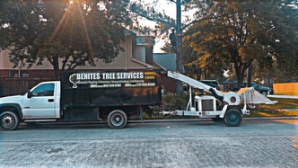 Benites Tree Services logo