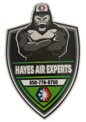 HAYES AIR EXPERTS LLC logo