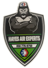 Avatar for HAYES AIR EXPERTS LLC