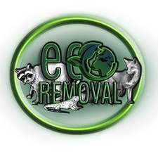 Logo for Eco Removal
