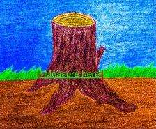 Avatar for RLB Stump Removal