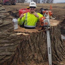 Logo for Stewart Tree Experts