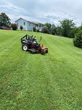 Logo for Willis Lawn Care and Landscape