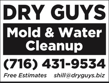Avatar for Dry Guys, LLC