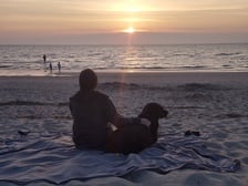 Avatar for D & J Painting Co LLC