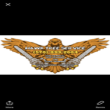 Hawk Tree Service logo