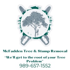Avatar for McFadden Tree & Stump Removal
