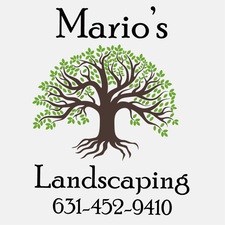 Logo for Marios Landscape