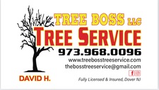 Tree Boss Tree Service LLC logo
