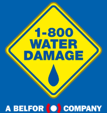Avatar for 1-800 Water Damage of South Orange County