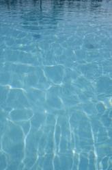 Dennis Pool Service logo