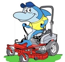 Avatar for Great White Landscaping and Property Maintenance