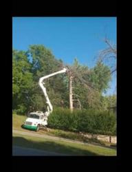 Big And Small Tree Service logo