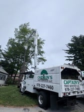 Avatar for Captain's Tree Service