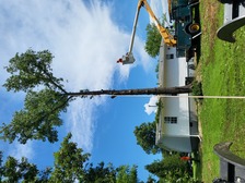 Avatar for Smittys Tree Service