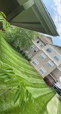 Avatar for LPS Lawn Care