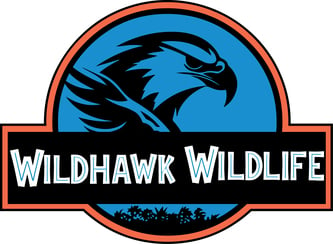 Wild Hawk Wild Life LLC logo