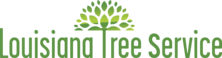 Logo for LATSC, LLC