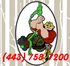 Avatar for Nativer Tree Experts